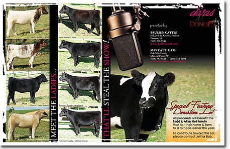  - click for larger view - 